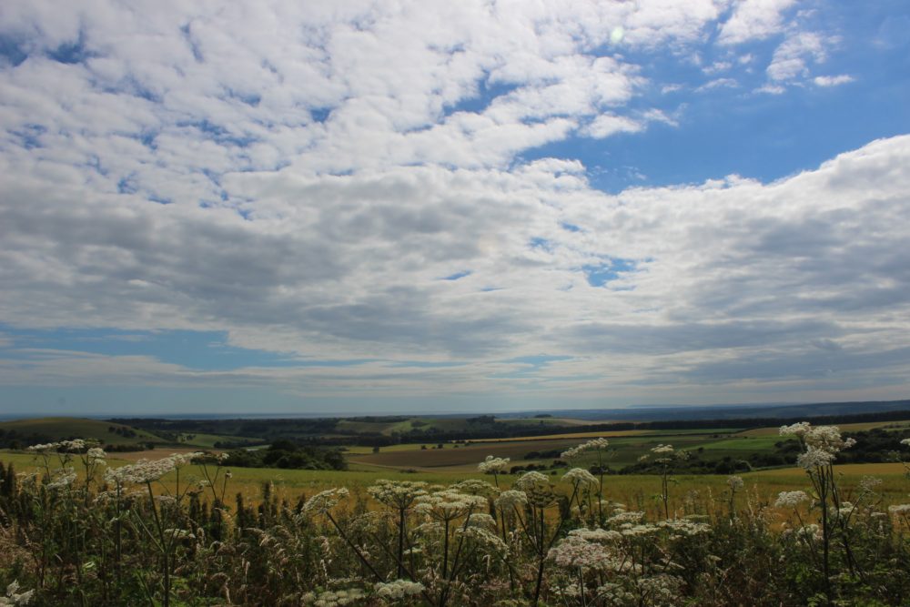 A view of the South Downs near Storrington